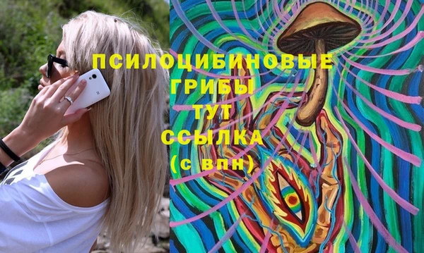 стафф Новый Уренгой