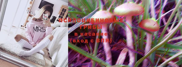 стафф Навашино