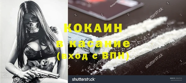 ГАЛЛЮЦИНОГЕННЫЕ ГРИБЫ Надым