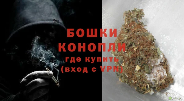 ГАЛЛЮЦИНОГЕННЫЕ ГРИБЫ Надым