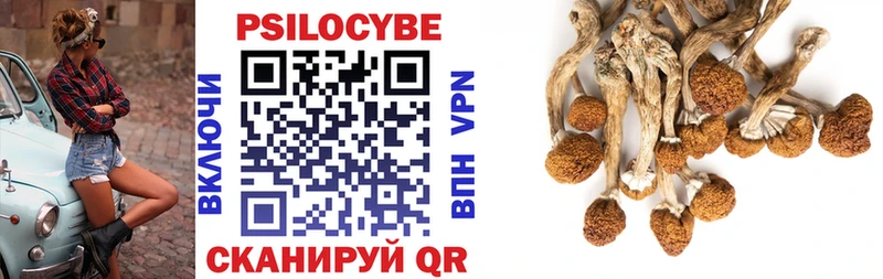 Галлюциногенные грибы прущие грибы  что такое наркотик  Бирюч 