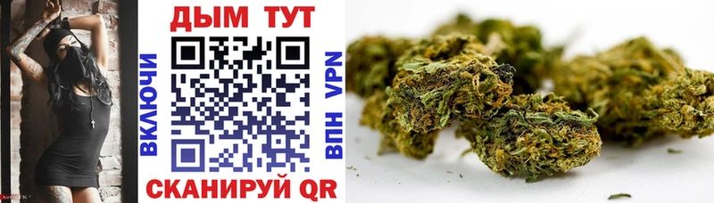 как найти наркотики  Бирюч  Марихуана тримм 